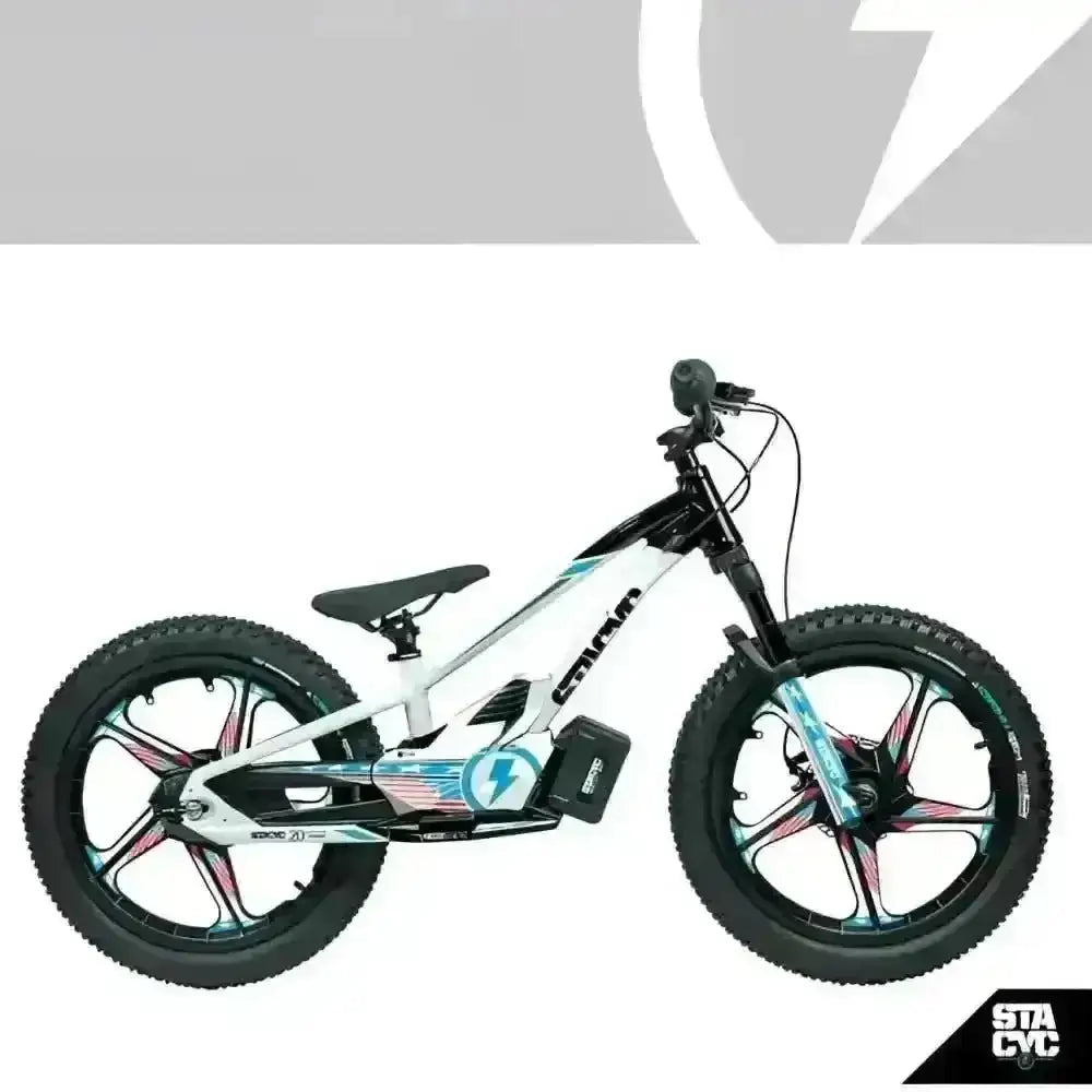 Stacyc Bike Graphic Kit 18 - 20eDrive - Balance Bike