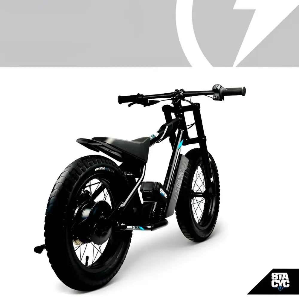 Balance Bike Stacyc Canada 16HDrive - Vélo 16’’