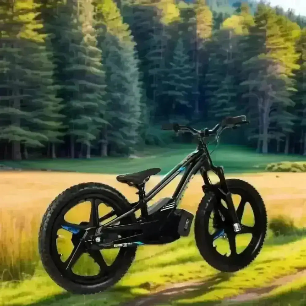 Balance Bike Stacyc Canada 20eDrive - Balance Bike