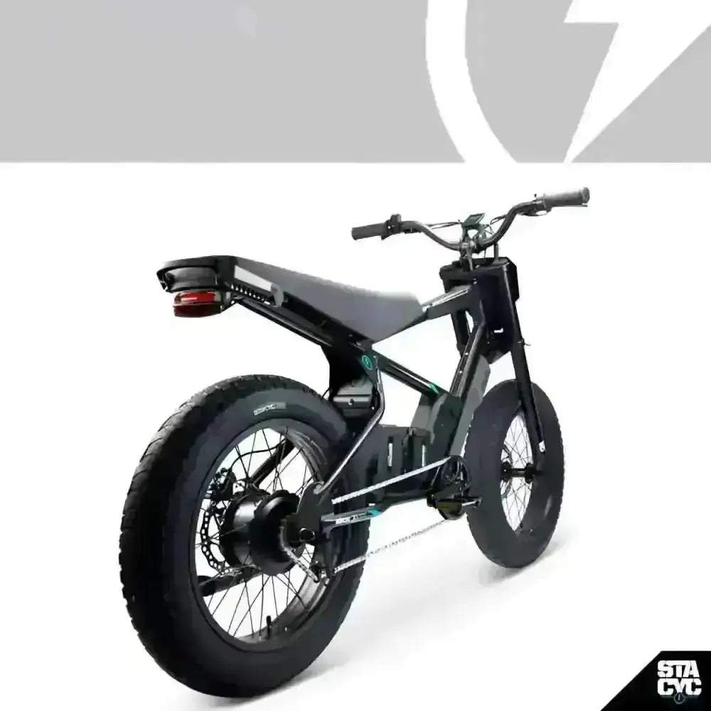 Balance Bike Stacyc Canada 20HDrive - Balance Bike
