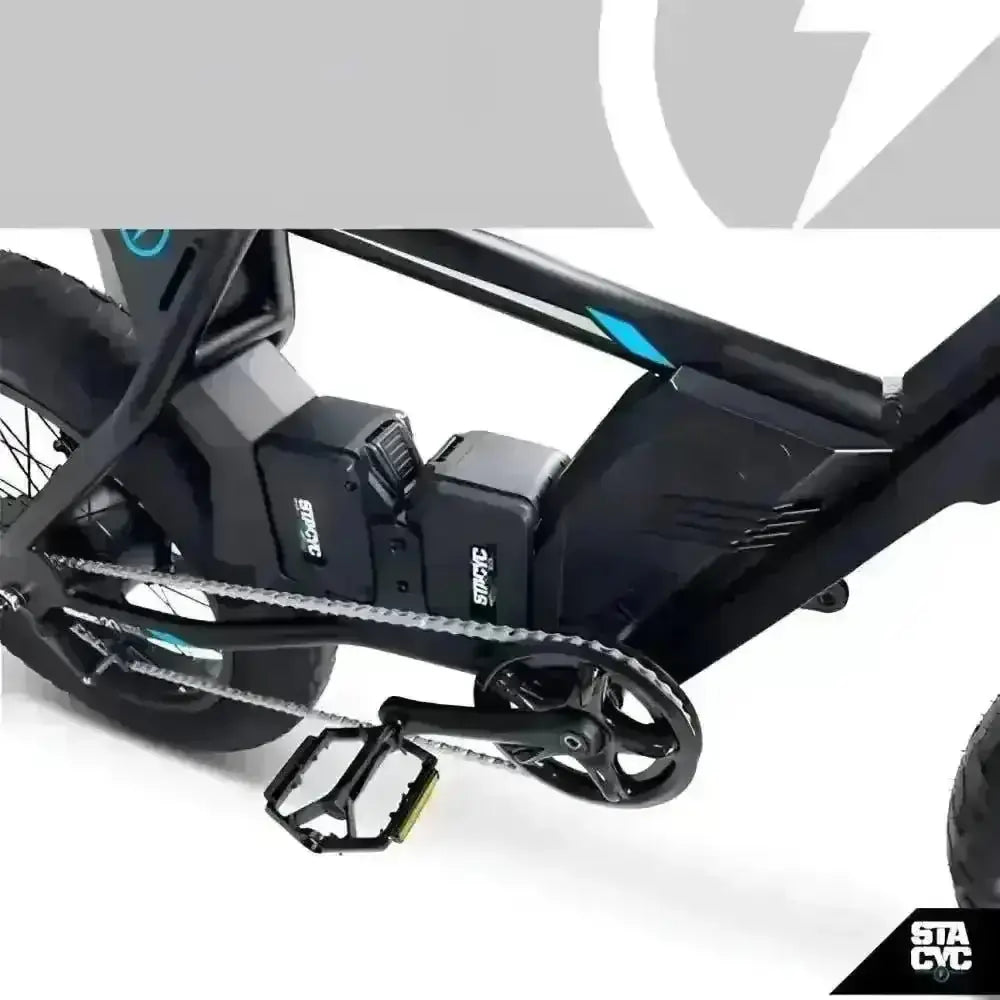 Balance Bike Stacyc Canada 20HDrive - Balance Bike