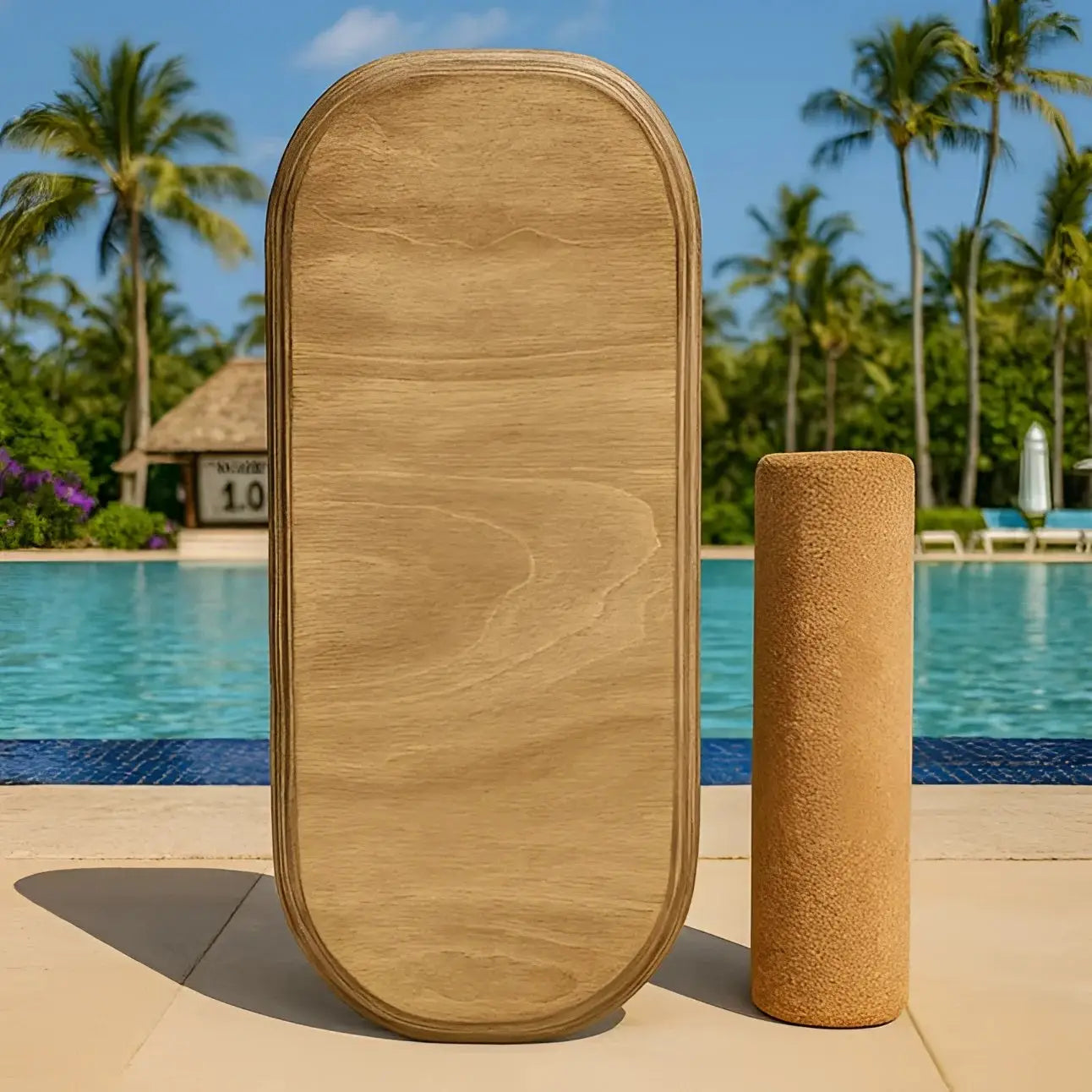 Balance Board Novice - Planche d’Équilibre